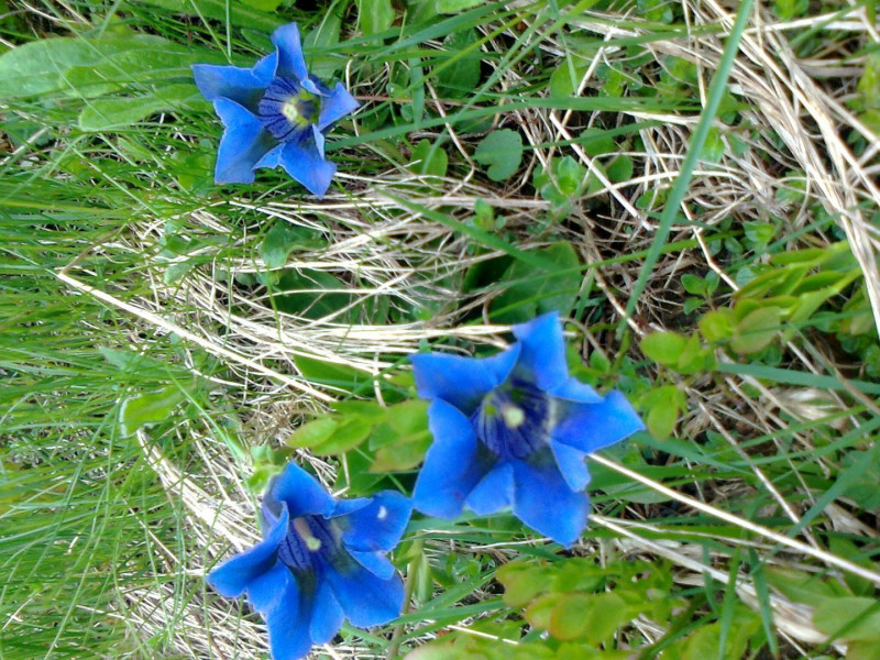 1df29c77e51007052c62a40a34624cec.jpg 1df29c77e51007052c62a40a34624cec.jpg