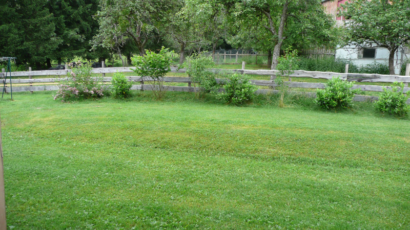 37381958.jpg.jpg 37381958.jpg.jpg