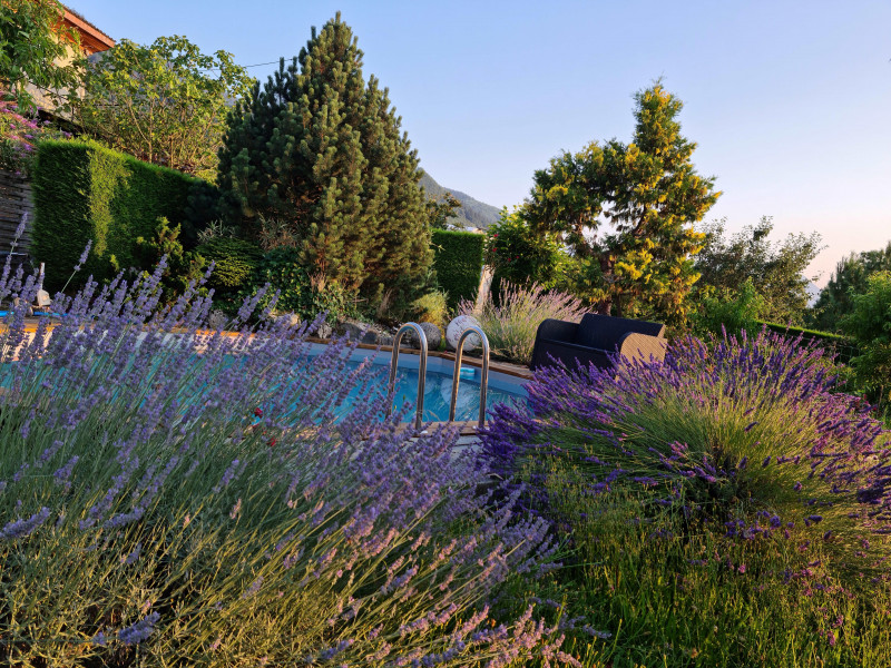 Piscine - Studio dans maison n°2326 - © Thivier Piscine - Studio dans maison n°2326