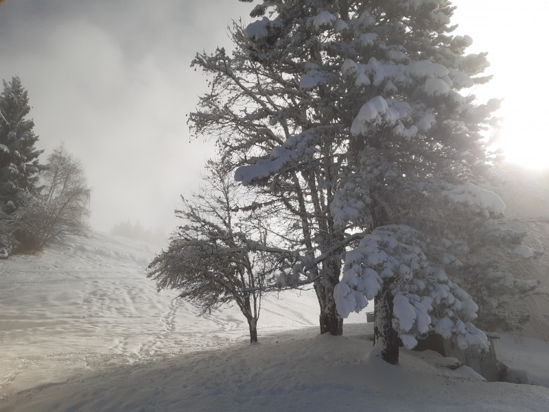 d84fdc1c72786bd728ea7259e6c738b2.jpg d84fdc1c72786bd728ea7259e6c738b2.jpg