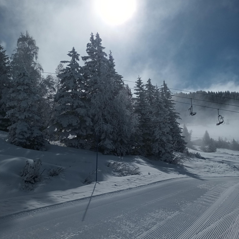 eb41d784182daf4e9c3.jpeg eb41d784182daf4e9c3.jpeg