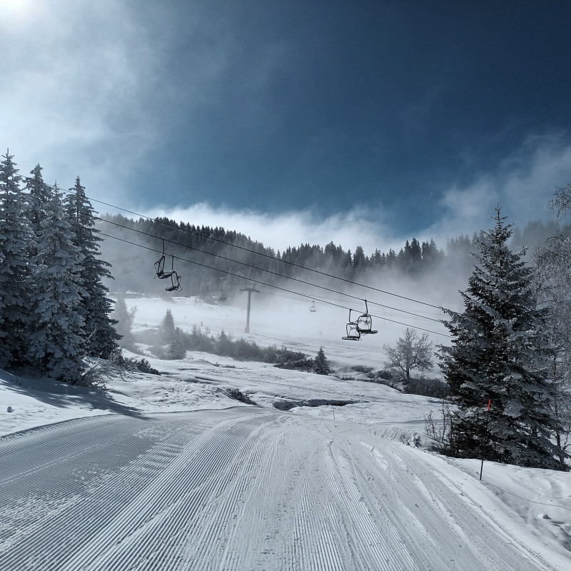 e8b57c44c3dfdea41520.jpeg e8b57c44c3dfdea41520.jpeg