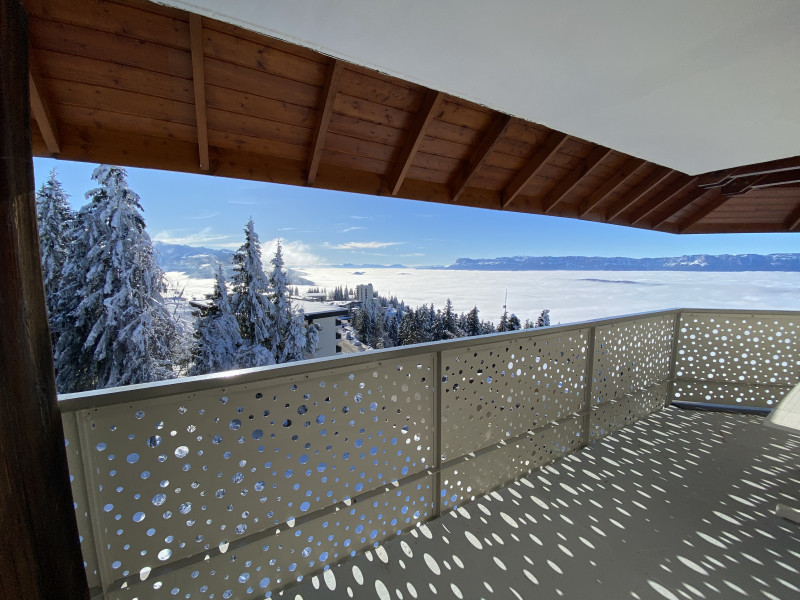 Vue sur le massif de Chartreuse - Appartement Plein Ciel N°31