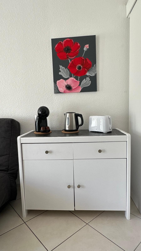 Meuble pièce à vivre  -  Studio Thermotel n°206 - Uriage