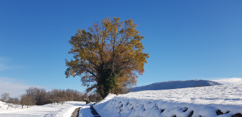 Paysage enneigé tout près du gîte