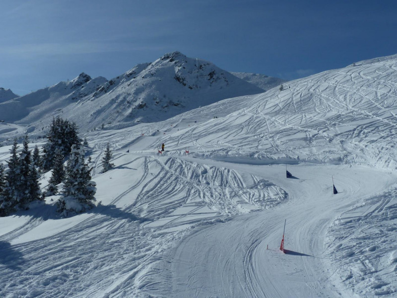 35538389.jpg.jpg 35538389.jpg.jpg