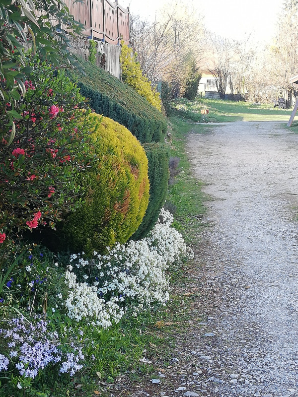 Jardin - Appartement verte prairie