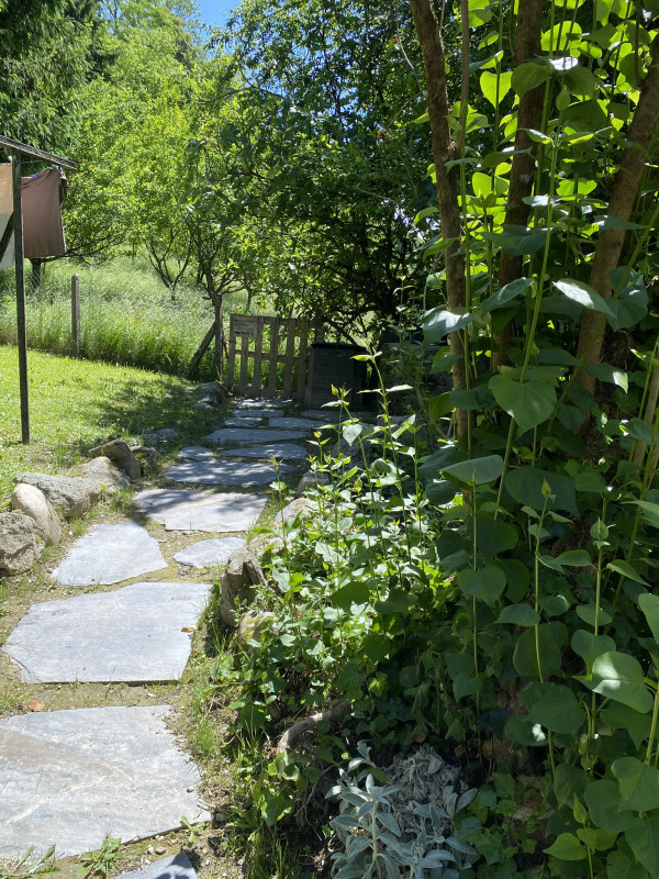 Jardin - © Dominique MARTINEZ-MARECHAL Jardin