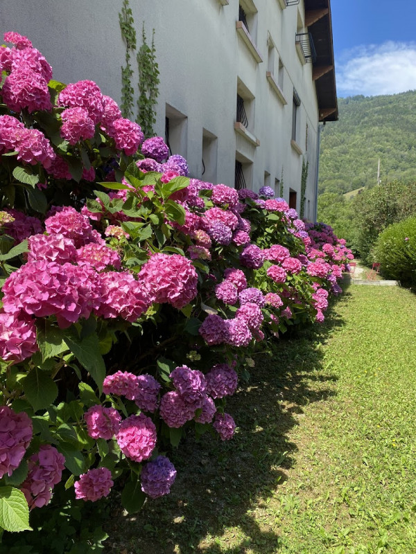 jardin villa SEBASTIEN - © Dominique MARTINEZ-MARECHAL jardin villa SEBASTIEN