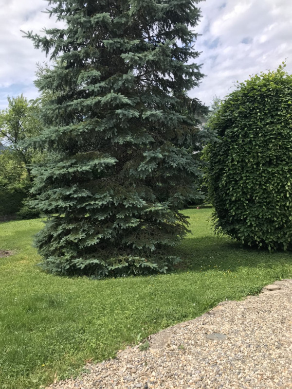 Jardin - © Karine Bigoni Jardin