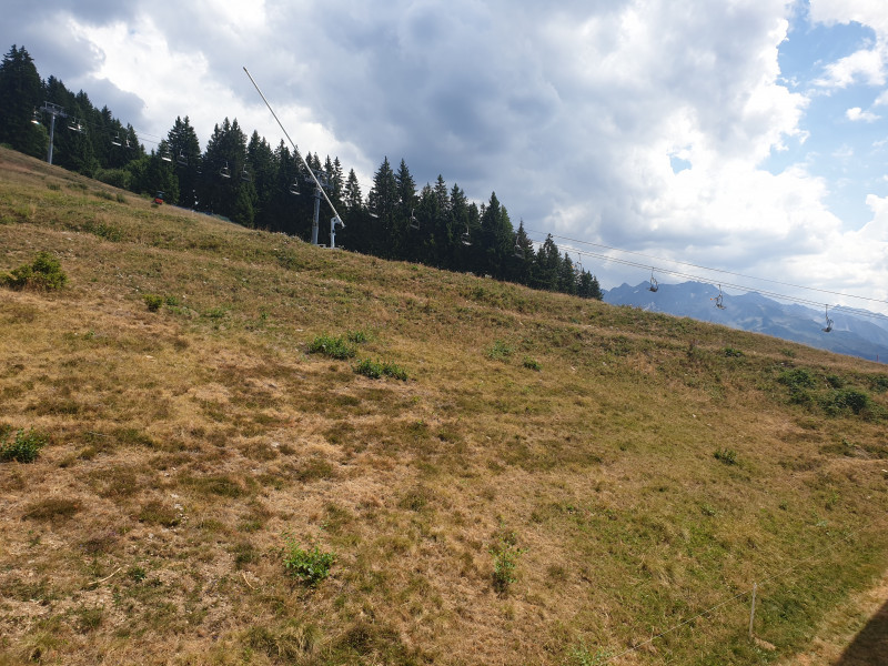 20220804_145737.jpg 20220804_145737.jpg