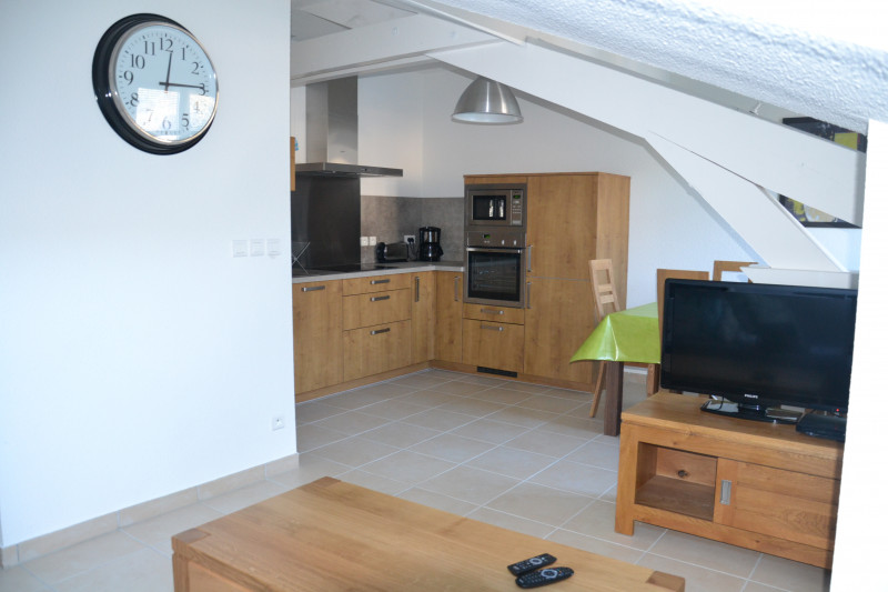 allevard_decembre_2011_043plante.jpg allevard_decembre_2011_043plante.jpg