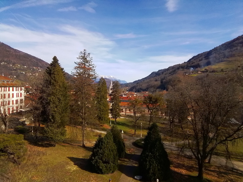 suzanne5.jpg suzanne5.jpg