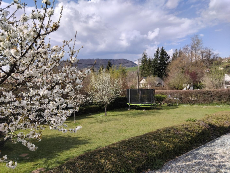 Jardin avec trampoline