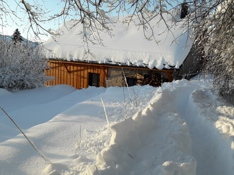 jardin hivers - © Salamandre du Glésy jardin hivers