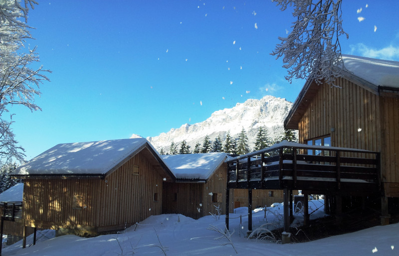 hiver neige gite chalet nid nichoir montagne