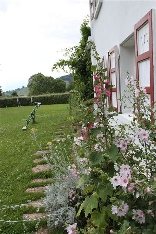 Le jardin fleuri, la balançoire et la pelouse