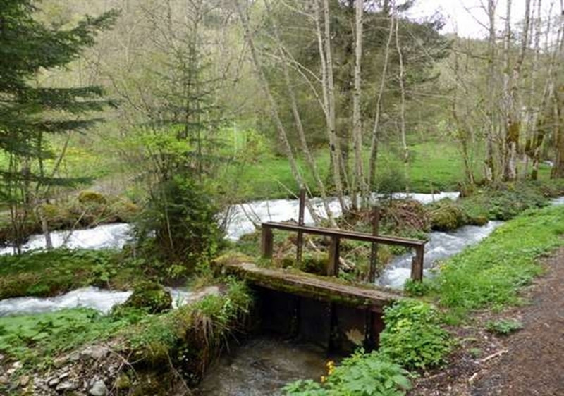 le long du torrent - © Henry Meilhac le long du torrent