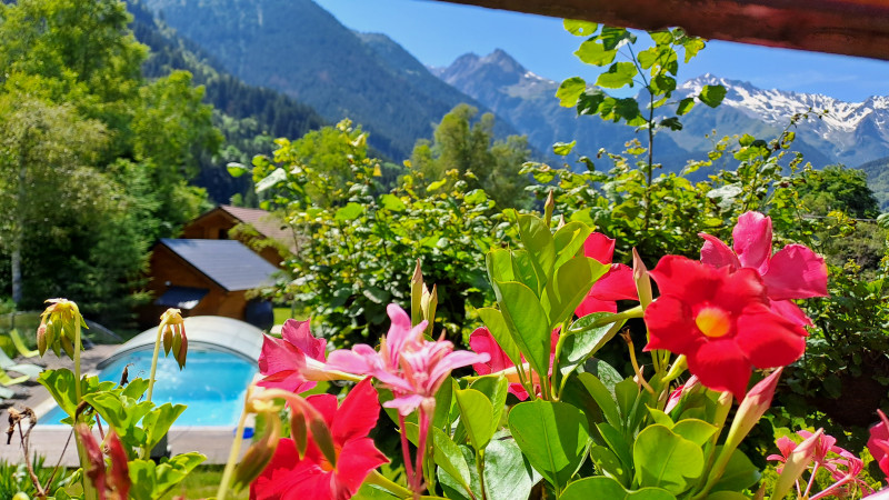 piscine - © baroz piscine