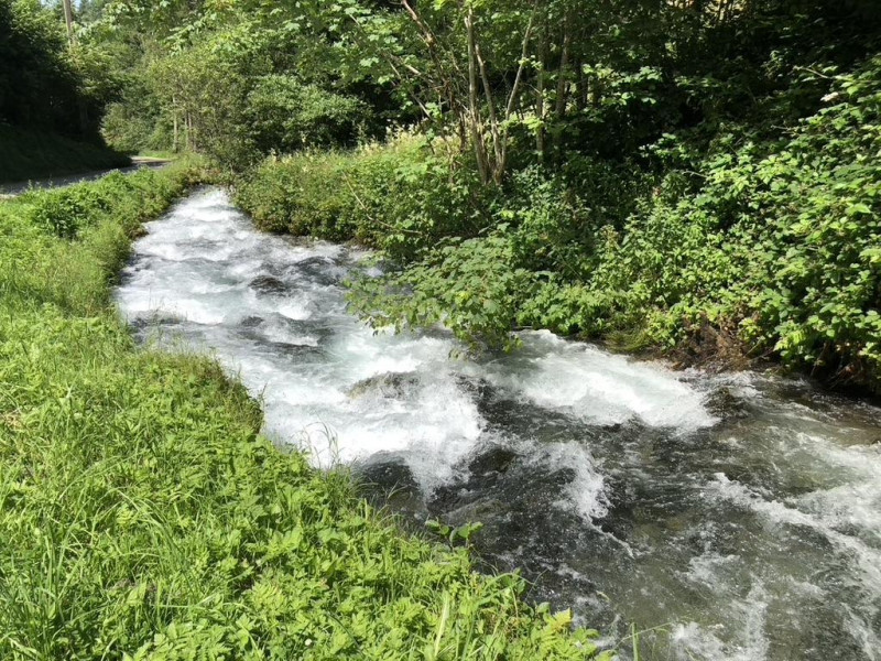 Le ruisseau