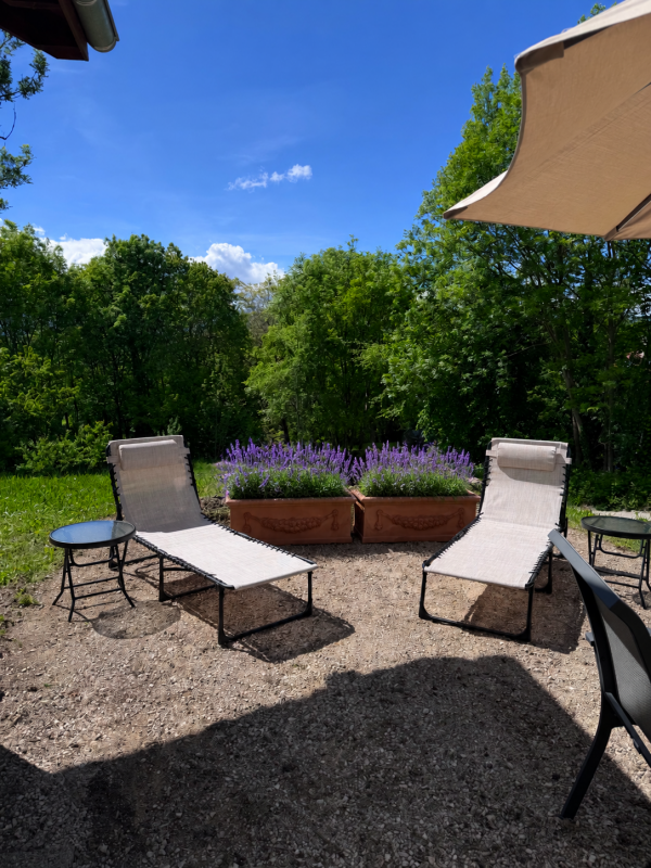 2 Chaises longues studio Vieux Tilleul - Saint-Martin-d'Uriage - © Baker 2026 2 Chaises longues studio Vieux Tilleul - Saint-Martin-d'Uriage