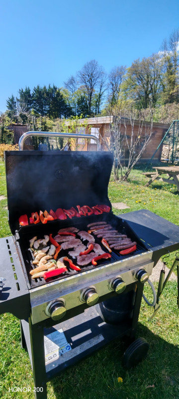 Barbecue gaz