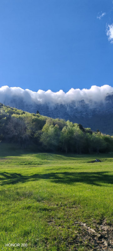 Le plateau de Sainte-Marie-du-Mont