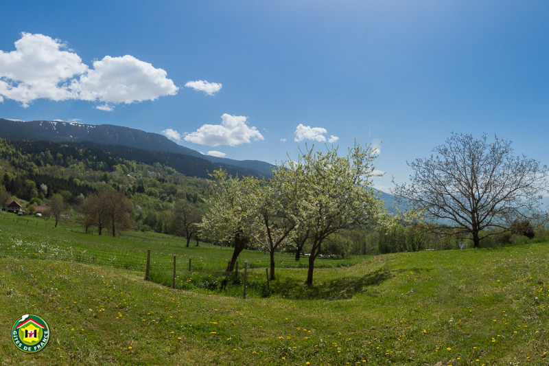 Le vieux Robinier_Saint-Martin-d'Uriage - © Gîtes de France Le vieux Robinier_Saint-Martin-d'Uriage