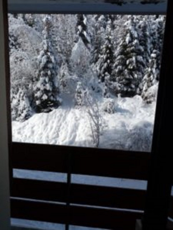 vue Forêt - © Pleyne-Lune vue Forêt