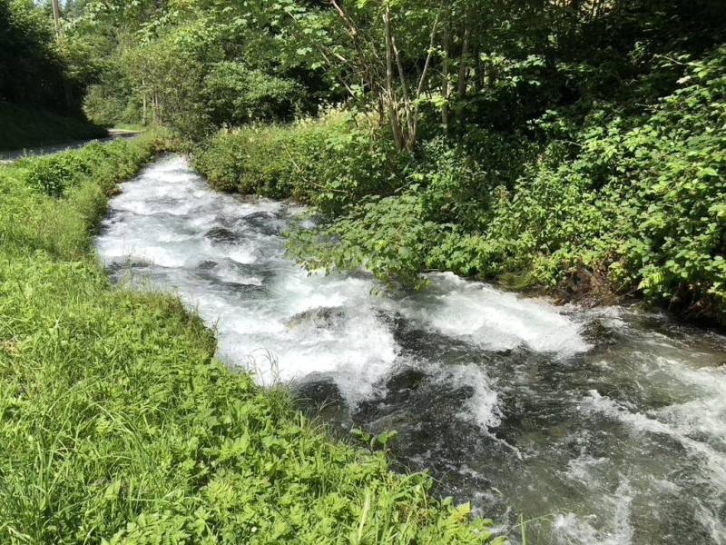 Le ruisseau - © Gîtes de France Le ruisseau