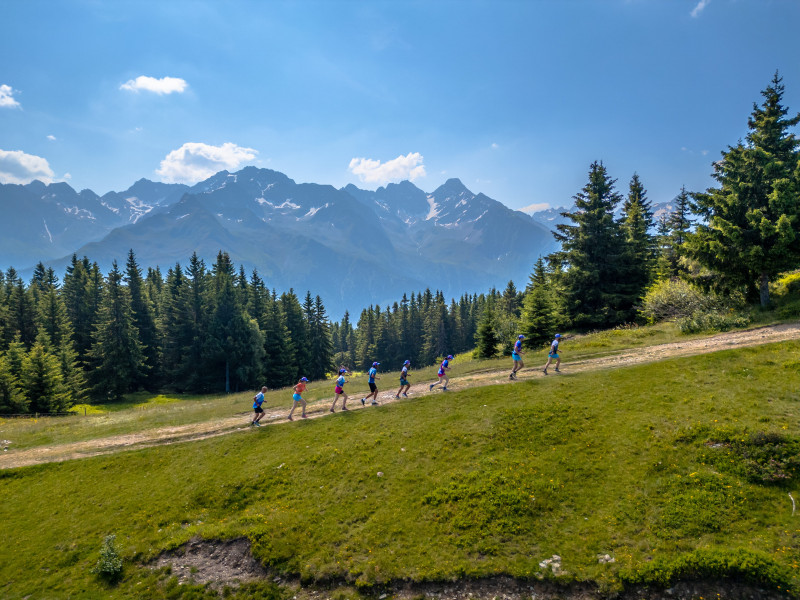 emma-exp-3-43-1-302670