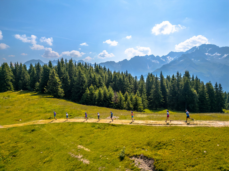 emma-exp-3-44-302673